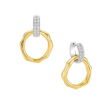 Load image into Gallery viewer, Terra Classic Earrings