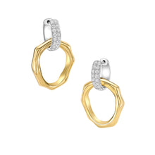 Load image into Gallery viewer, Terra Classic Earrings