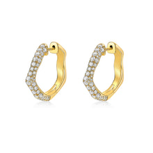 Load image into Gallery viewer, Terra Hoop Earrings