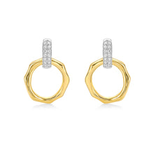 Load image into Gallery viewer, Terra Classic Earrings